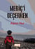 Meriç'i Geçerken