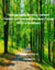 Unbound Hearts: Nurturing Emotional Freedom and Attaining Endless Peace Through the Art of Detachment