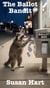 The Ballot Bandit