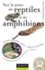 Sur la piste des reptiles et des amphibiens - Serpents, grenouilles, lézards..., sachez les reconnaître