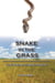 Snake in the Grass - An Everglades Invasion