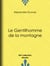 Le Gentilhomme de la montagne