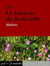 La Jalousie du Barbouillé