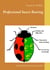 Professional insect rearing - Strategical points and management method