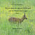 Wer ist denn da alles im Wald und auf der Wiese unterwegs? - 1. Buch
