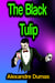 The Black Tulip
