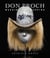 Don Proch - Masking and Mapping