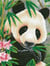 Kit Diamond painting - Diamond Dotz - Le Prince des Pandas