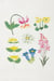 Kit Mindful Making Broderie - Cueillette Sauvage