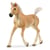Poulain Haflinger