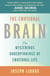 The Emotional Brain - The Mysterious Underpinnings of Emotional Life