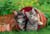media/pim/39_231022_6_110_FR.jpg