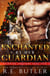 Enchanted By Her Guardian - Yuletide Shifters, #5