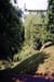 Trespasser