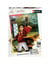 250P LA PASSION DU QUIDDITCH / HARRY POTTER