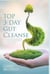 Top 3-Day Gut Cleanse - Gut Cleanse, antioxidants & phytochemicals, gut health, digestive issues