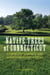 Native Trees of Connecticut - A Step-by-Step Illustrated Guide to Identifying the State's Species