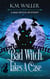 Bad Witch Takes a Case - A Bad Witch Mystery, #1