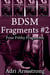 BDSM Fragments #2 - Filthy Fragments, #7
