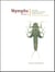 Nymphs, Stoneflies, Caddisflies, and Other Important Insects - Including The Lesser Mayflies