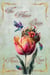 The Flower Queen - The Queens, #1