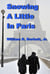 Snowing A Little in Paris