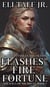 Flashes of Fire and Fortune - The Saga of Sir Bryan, #7