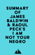 Summary of James Baldwin & Raoul Peck's I Am Not Your Negro