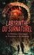 Labyrinthe du Surnaturel : 12 Histoires Classiques de Fantômes et de Mystères - Histoires extraordinaires, Le Horla, Le chateâu des Carpathes, Le diable amoureux, Belphégor, etc.