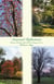Seasonal Reflections: Christian Thoughts Inspired by the Changing Seasons