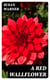 A Red Wallflower
