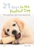 21 Days To The Perfect Dog - The friendly boot camp for your imperfect pet