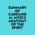 Summary of Caroline M. Myss's Anatomy Of The Spirit