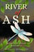 River of Ash - Minder of Stone, #2