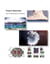 Fusion Materials Semi Decadal Books of Abstracts - Fusion Materials, #1