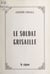 Le soldat grisaille