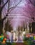The Adventures of Leila and Taylor the Fairy's : The Hunt for Easter Treasure