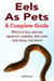 Eels As Pets. Where to buy, species, aquarium, supplies, diet, care, tank setup, and more! A Complete Guide