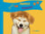 The Puppies Behavior:How to Explain Quickly and in a Fun Way to a Child the Behavior of a Puppy - Kids Love Pets
