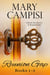 Reunion Gap Boxed Set - Reunion Gap