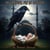 No Ravens Fly in Heaven