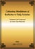 Cultivating Mindfulness of Bodhicitta in Daily Activities eBook