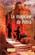 Le magicien de Pétra