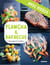 Plancha & barbecue - Avec vidéos - 50 recettes & 15 vidéos