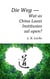 Die Weg — Wat as China Laozi Institusies sal open?