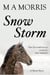 Snow Storm