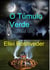 O Túmulo Verde - Contos de terror, #19
