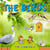 The birds (Audio content) - Learn All There Is to Know About These Animals!
