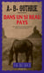 Dans un si beau pays - Série "The Big Sky", tome III