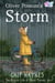 Oliver Possum's Storm - The Bicycle Life of Oliver Possum, #4